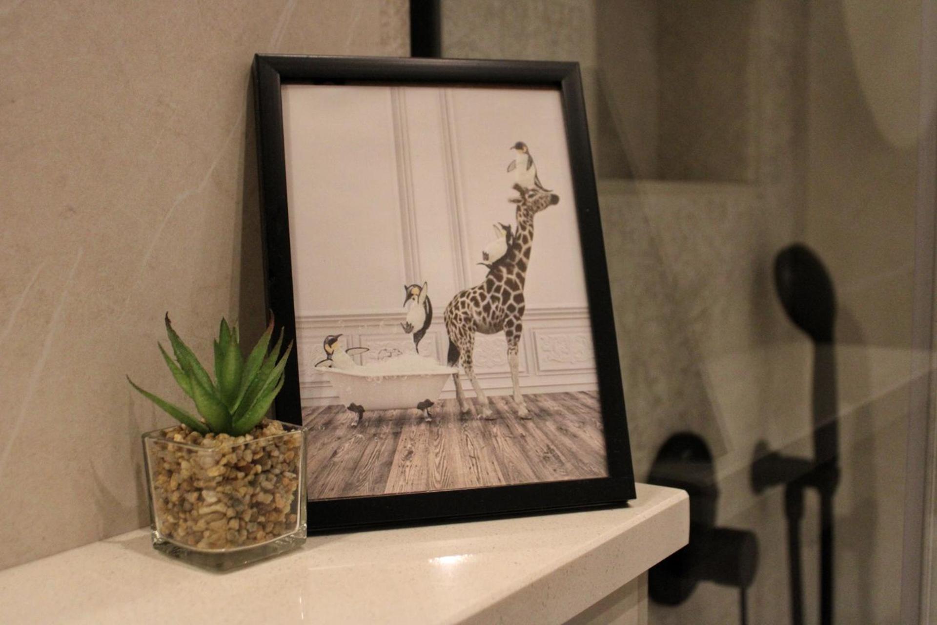 Studio Laura-Spacious Studio On The Main Beach ماكارسكا المظهر الخارجي الصورة